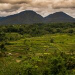 séjour en ferme